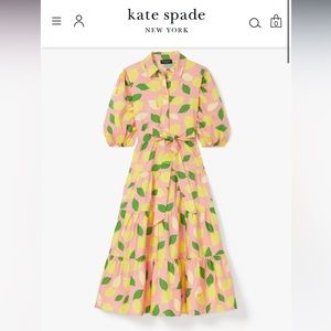 Kate spade lemon toss tie waist shirt dress